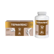 Терафлекс капс №200
